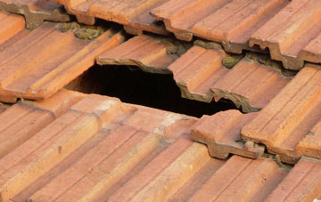 roof repair Nether Handwick, Angus